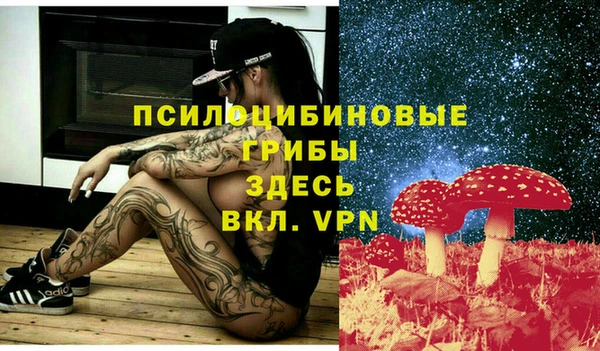 гидропоника Алексеевка