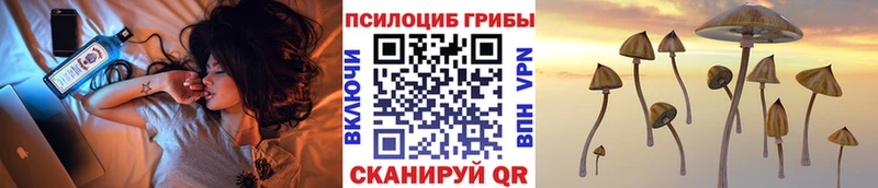 наркотики  KRAKEN онион  сайты даркнета официальный сайт  Островной  Псилоцибиновые грибы Magic Shrooms 